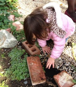 greenhouse visit is a chance to get hands dirty and explore caterpillar life
