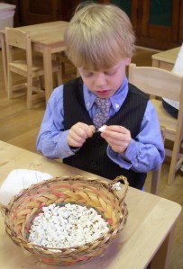 these popcorn and cranberry garlands will decorate trees on TNCS grounds for natural ornamentation and snacks for visiting birds