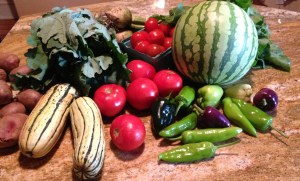 Clockwise from left: potatoes, lacy kale, beets. plum tomatoes, chard, watermelon, pepper assortment, red tomatoes, and delicata. 