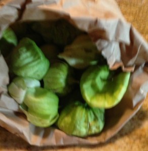 Oops, almost forgot these little beauties . . . 