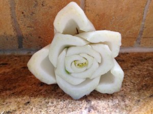 Any guesses about what this is? Hint: It's not a rose.