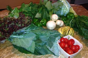 Clockwise from left: red leaf lettuce, arugula, green peppers, turnips with greens, cabbage, chard, delicata squash, cherry tomatoes, and collard greens.