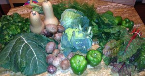 Clockwise from left: cilantro, butternut squash, fennel, cabbage, spinach, green peppers, chard, more green peppers, cauliflower, purple potatoes, and collard greens.
