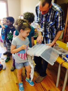 Mr. Miller hands out Lego people to each child who can correctly answer a question about engineering, such as "What is Lego glue"? (Answer: Overlapping.)