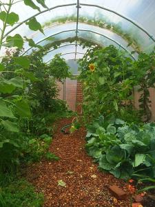 The greenhouse is a magical place for TNCS students, full of wonder and possibility.