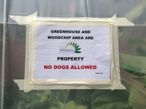 For obvious reasons, please keep the four-legged friends out of the greenhouse :)!