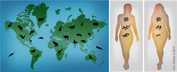 Left: Diversity of animals living in different habitats of the Earth. Right: Different bacteria found on individual people.