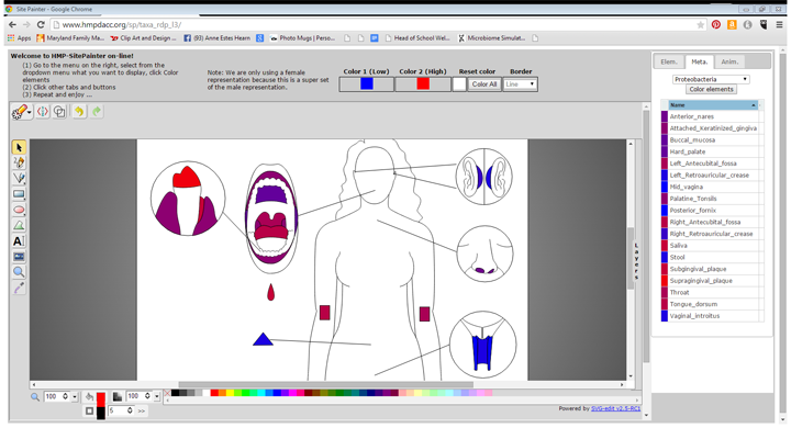 An Image captured from SitePainter demonstrating the different habitats where various bacteria are found.