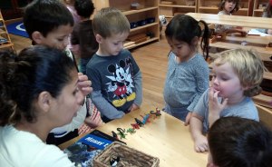 tncs-preprimary-to-primary-transition