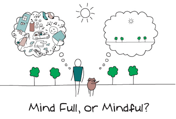tncs-mindfulness-in-the-classroom