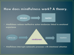 tncs-mindfulness-classroom