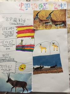 tncs-chinese-immersion-summer-camp-2017
