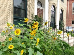 Beloved-School-Building1