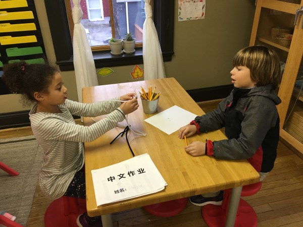 tncs-elementary-teacher-taryn-biancaniello